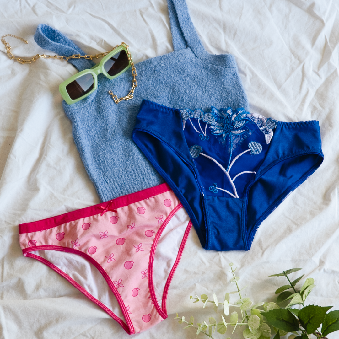 The Chloe - Blue Embroidered Brief